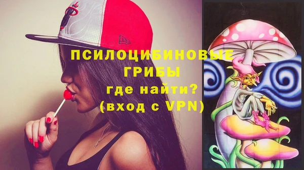 МДПВ Нея