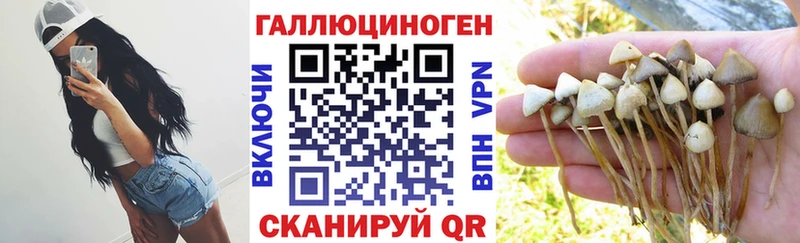 Галлюциногенные грибы мицелий цена Тогучин